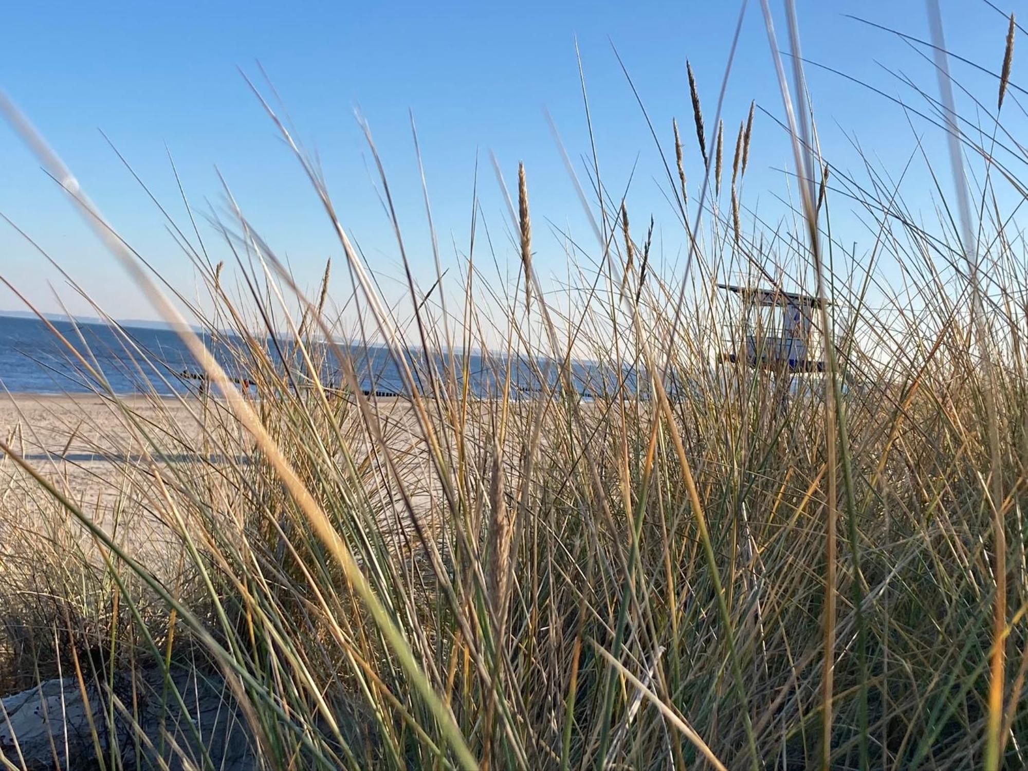 Ferienwohnungen Ostsee & Mehr Heringsdorf  Luaran gambar